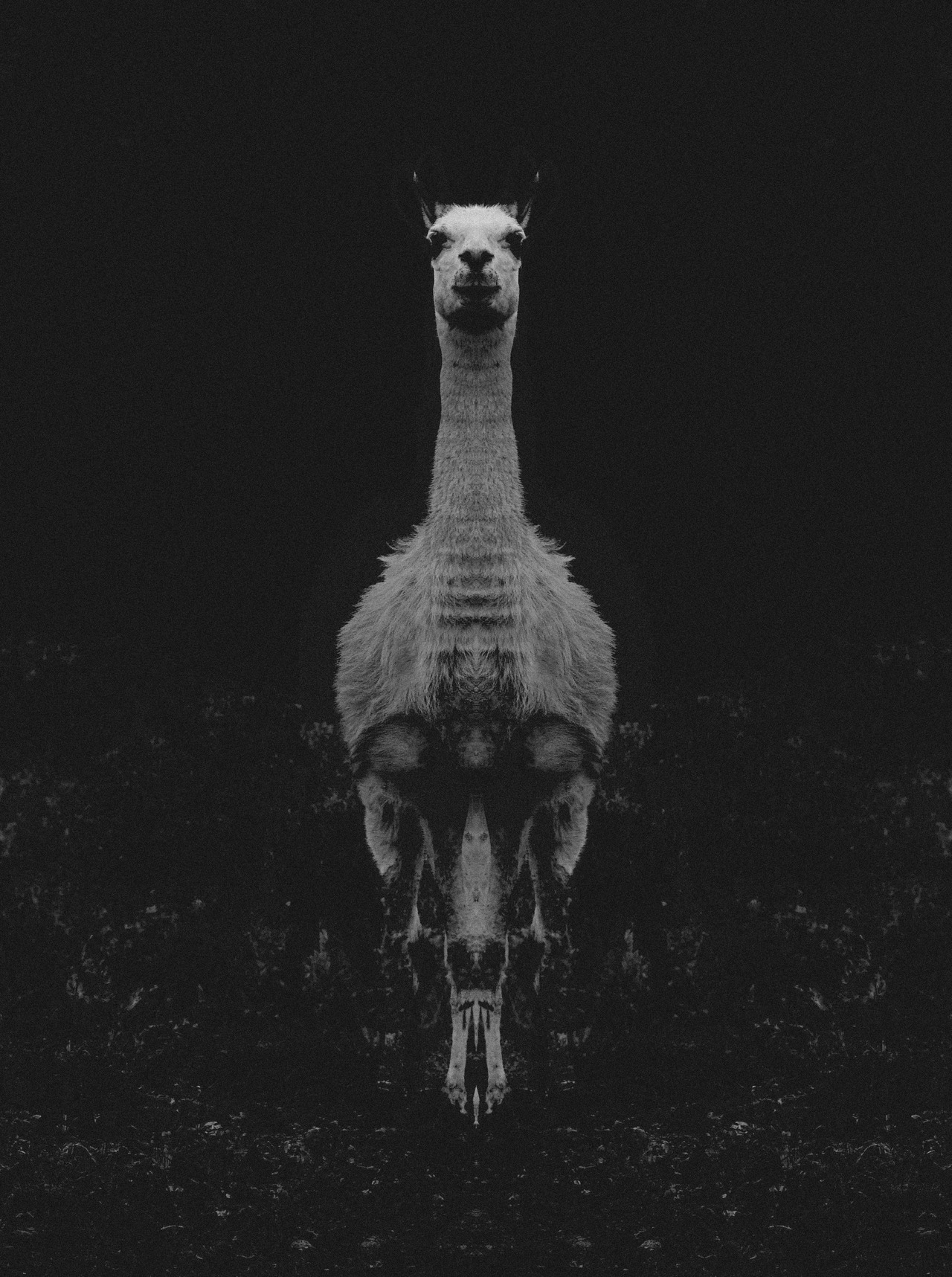 Archillect ID 230160