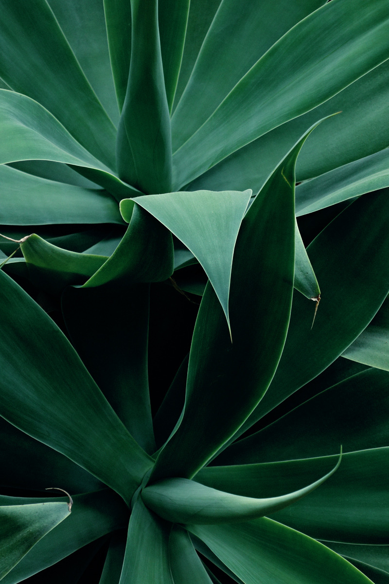 Archillect ID 230204