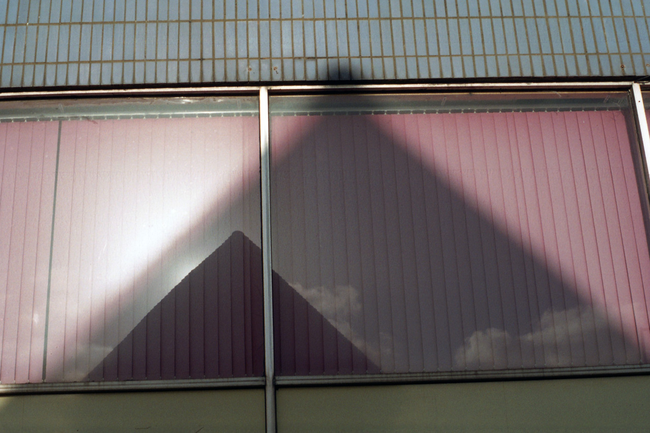 Archillect ID 230287
