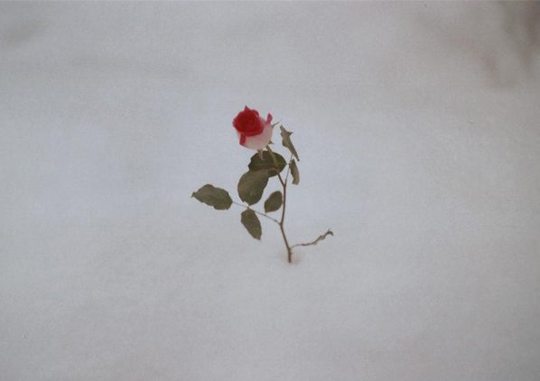 Archillect ID 230381