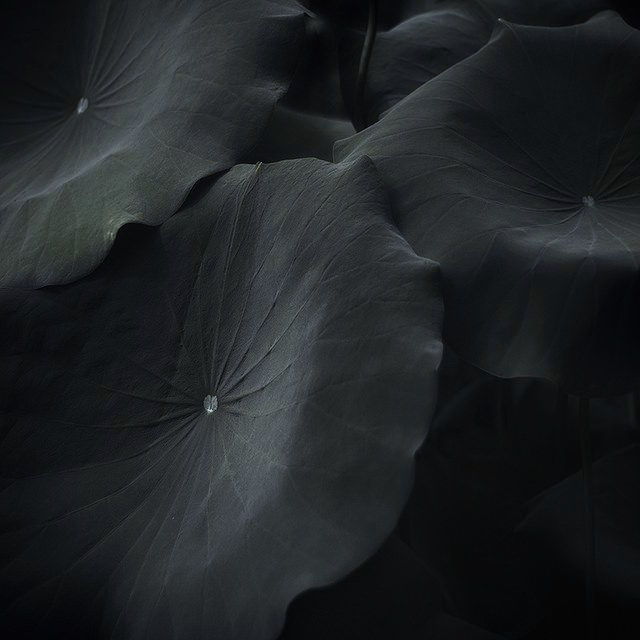 Archillect ID 230577