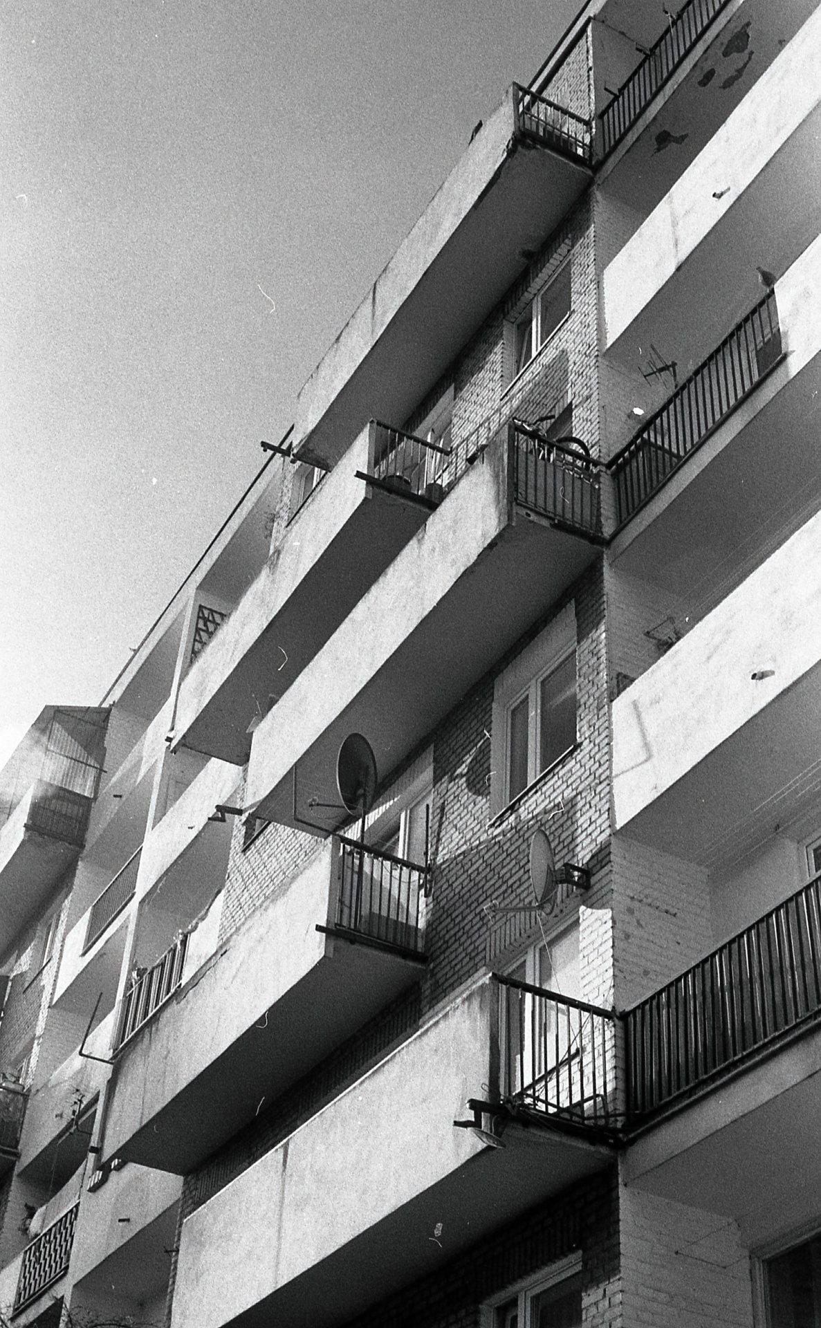 Archillect ID 230694