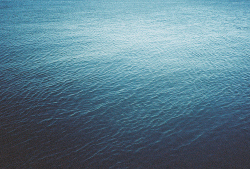 Archillect ID 230705