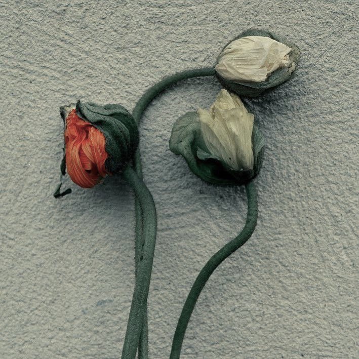 Archillect ID 230790