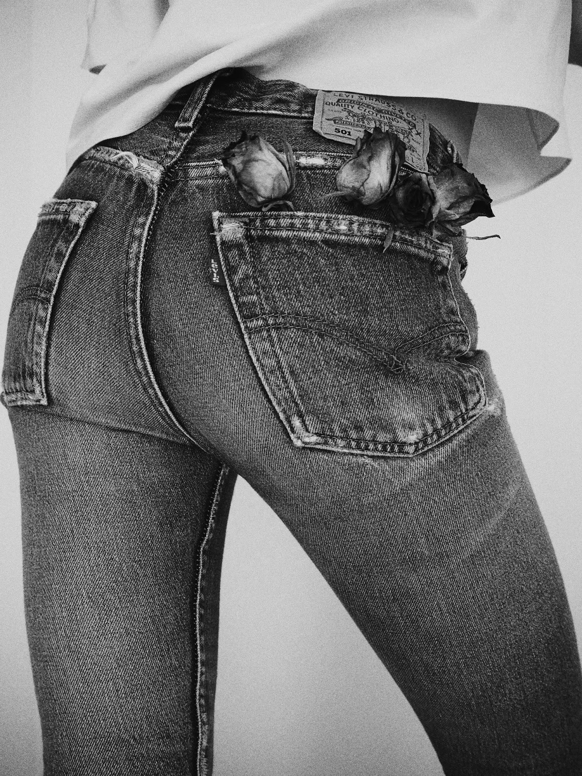 Archillect ID 230880