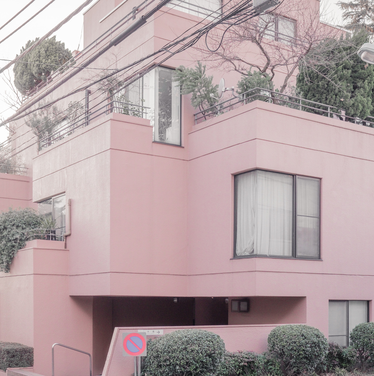 Archillect ID 231088