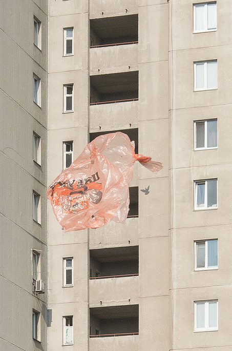 Archillect ID 231368