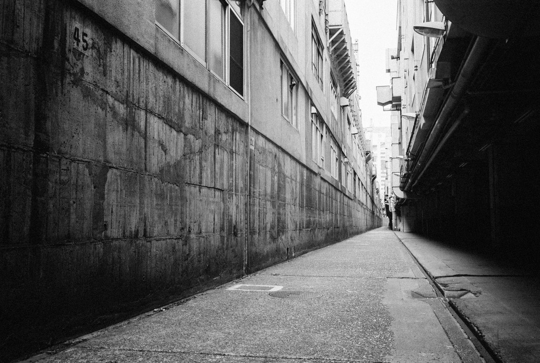 Archillect ID 231407