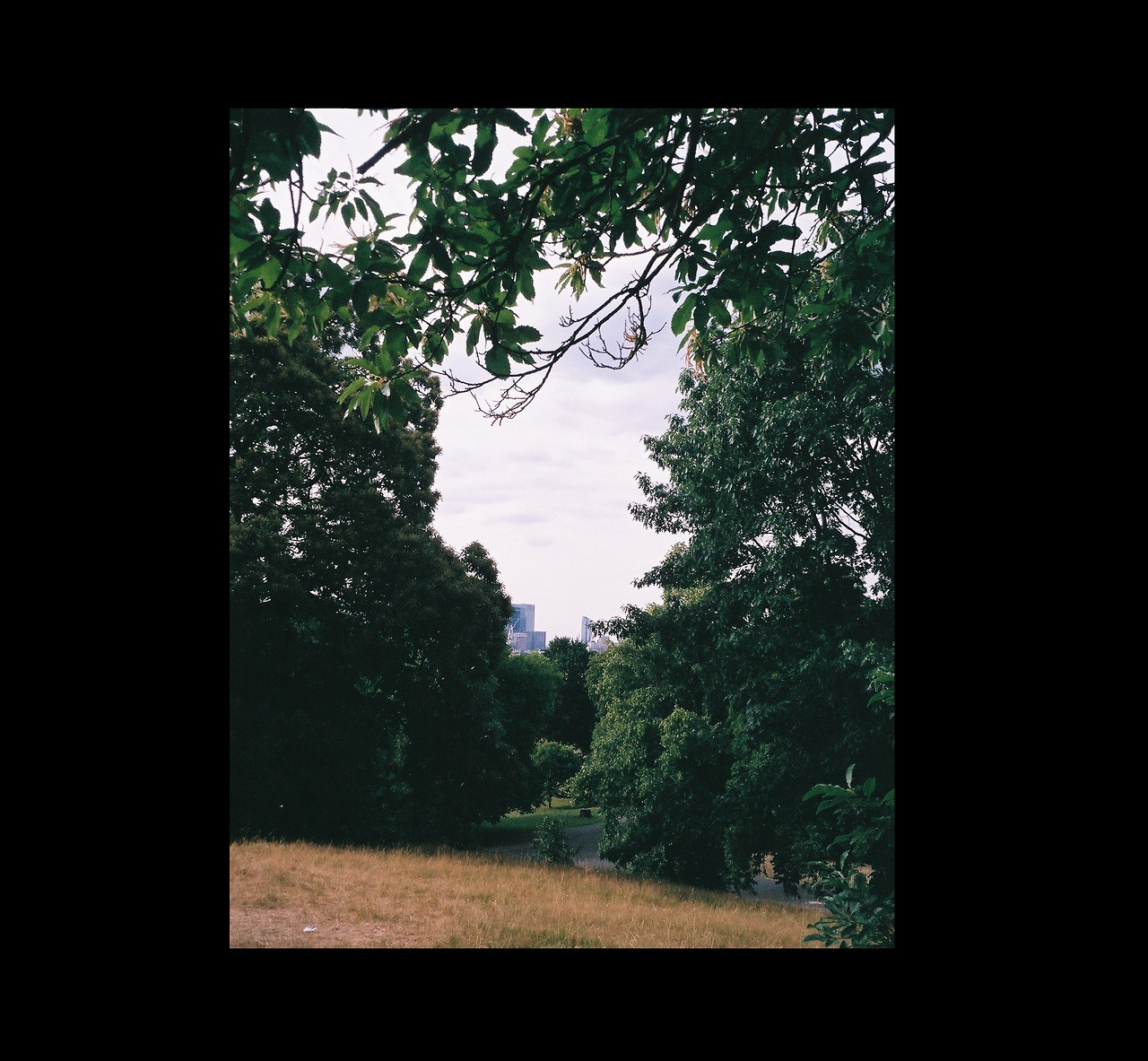 Archillect ID 231460