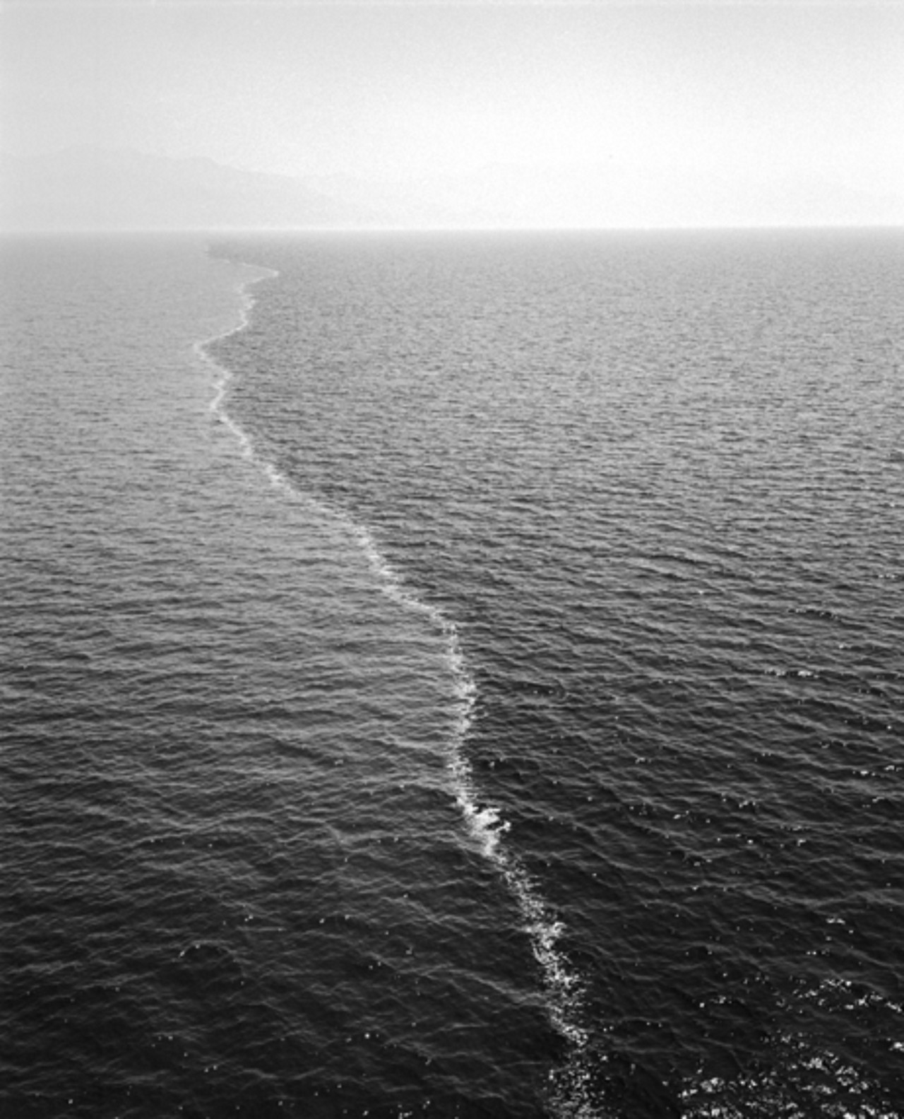 Archillect ID 231602