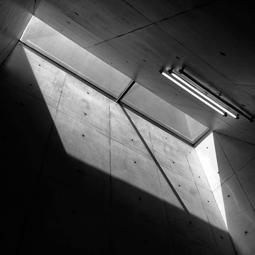 Archillect ID 231621