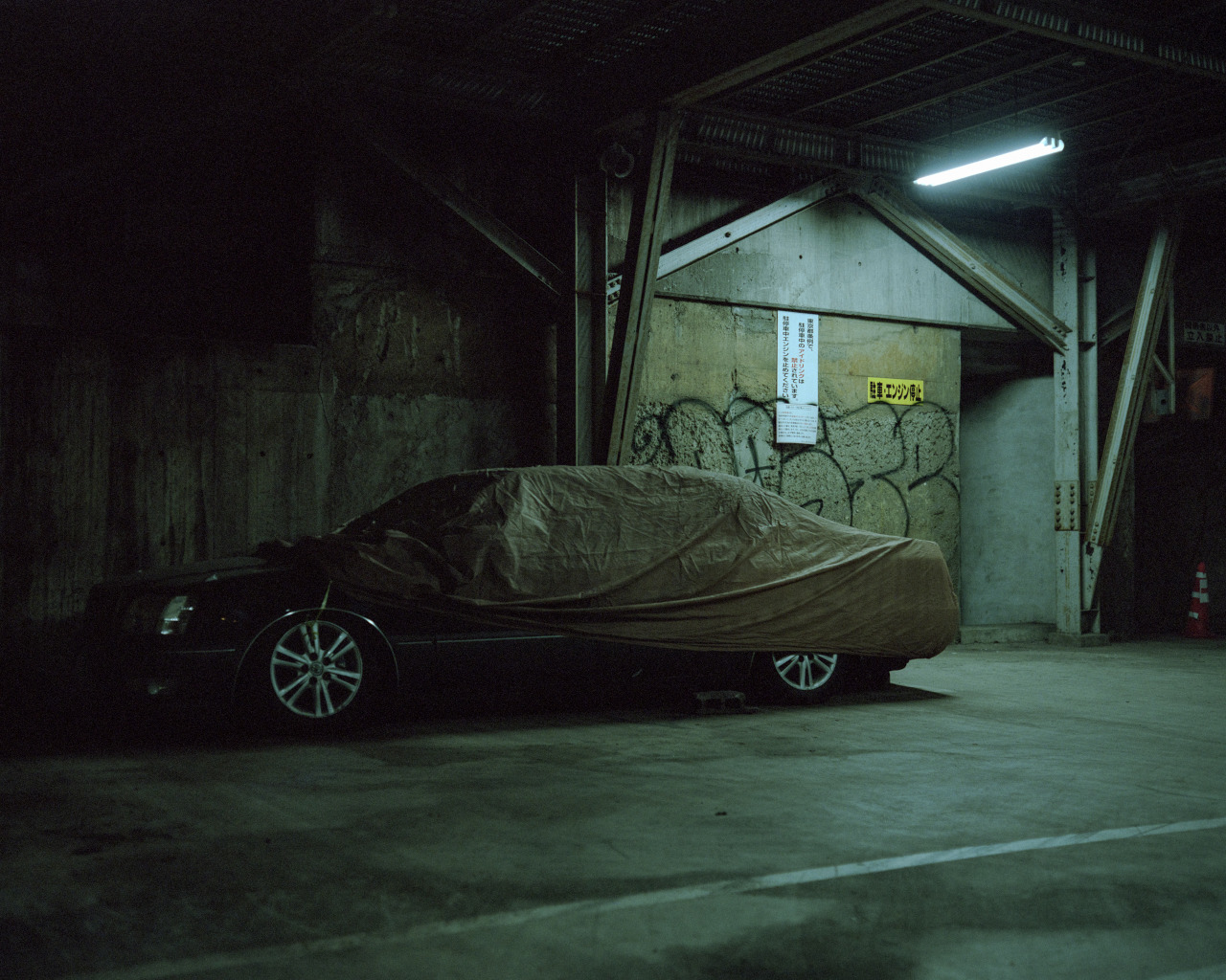 Archillect ID 231715