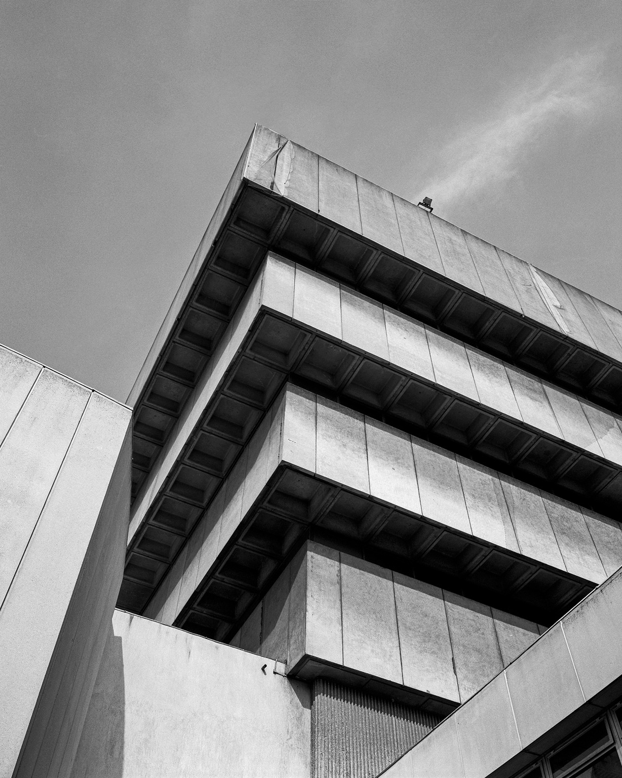Archillect ID 231717