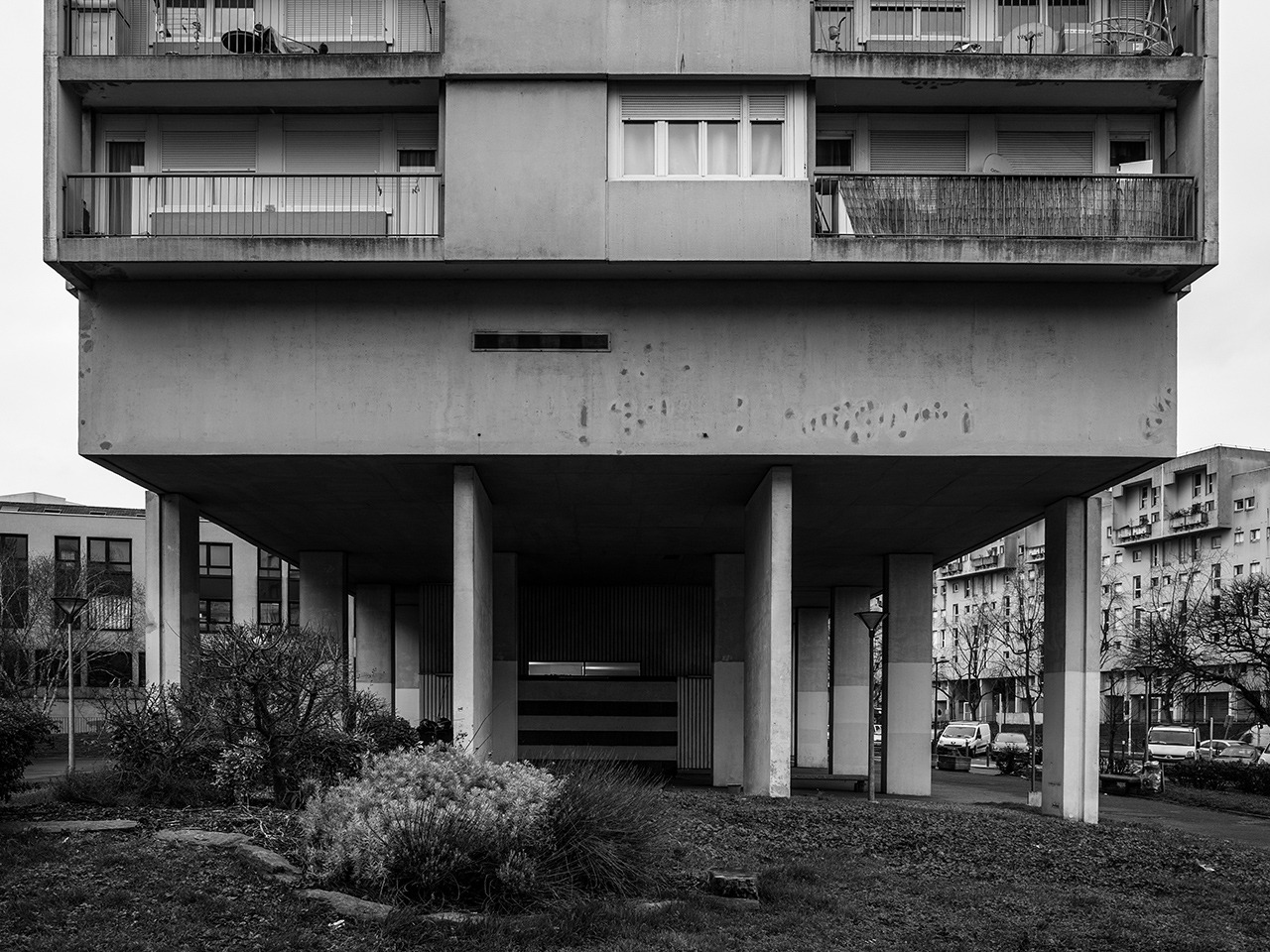 Archillect ID 231806