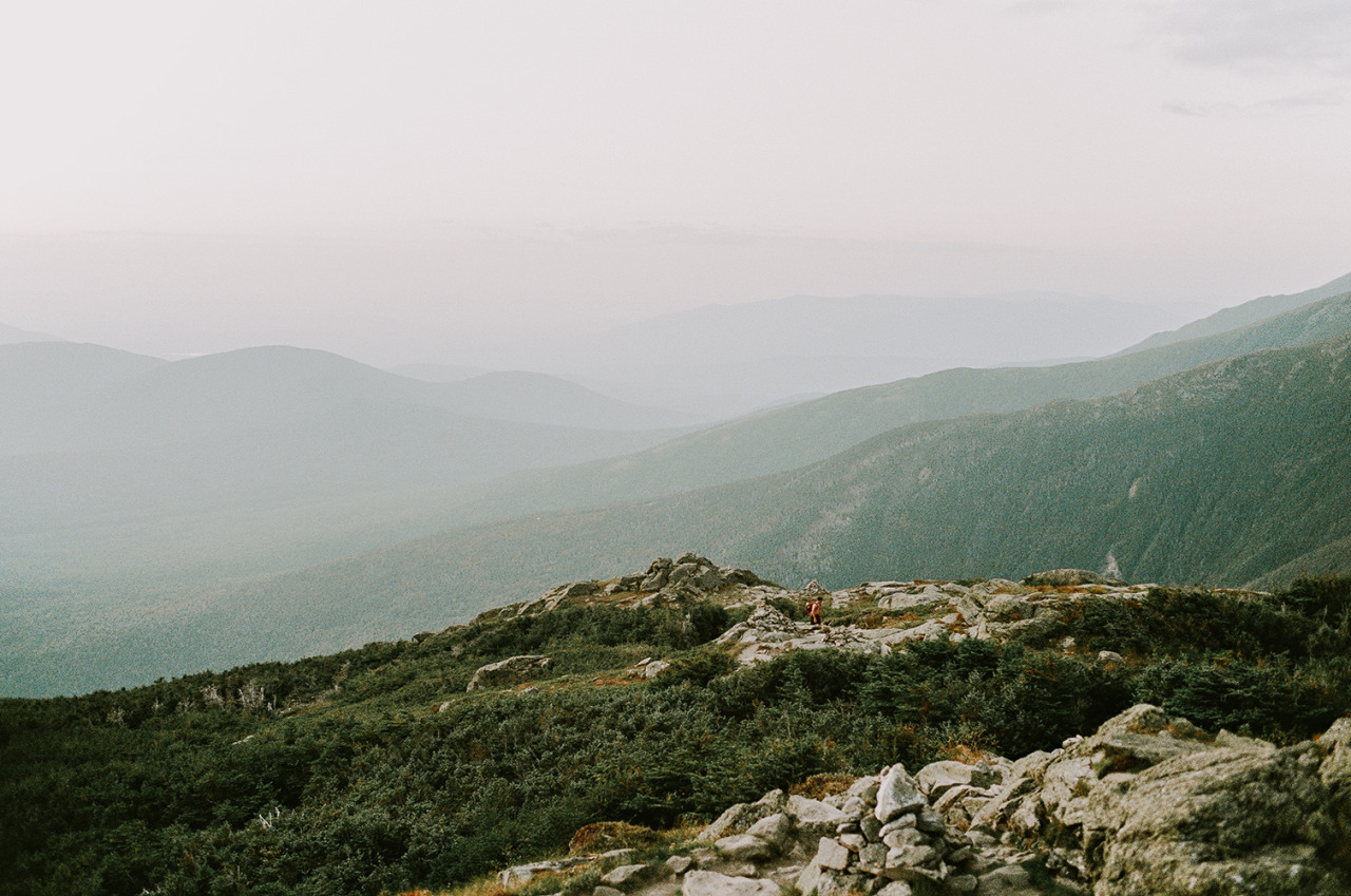 Archillect ID 232024