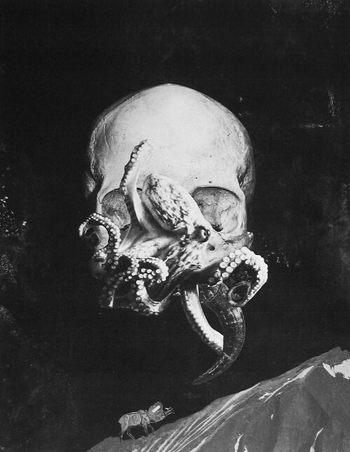 Archillect ID 232031