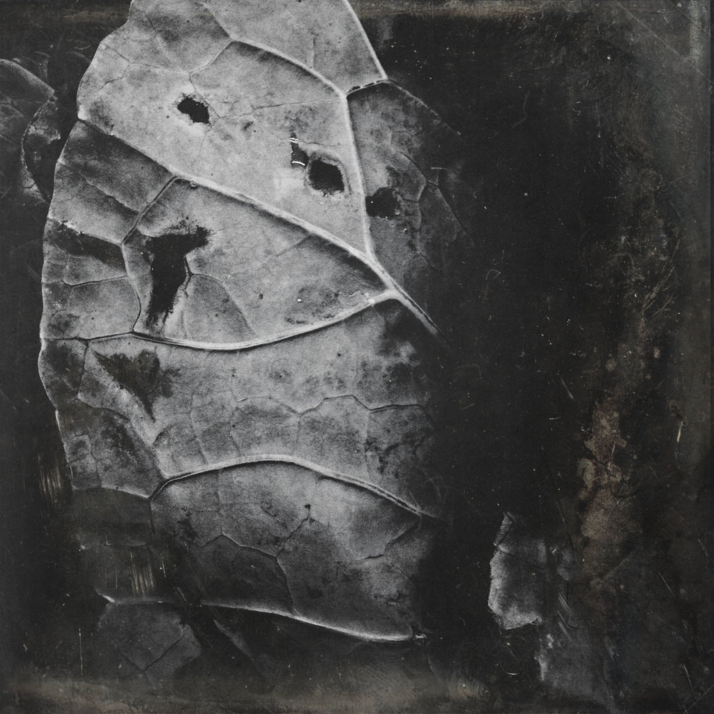 Archillect ID 232078