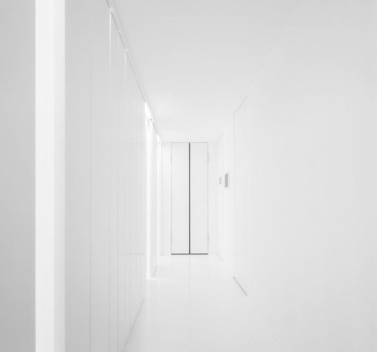 Archillect ID 232216