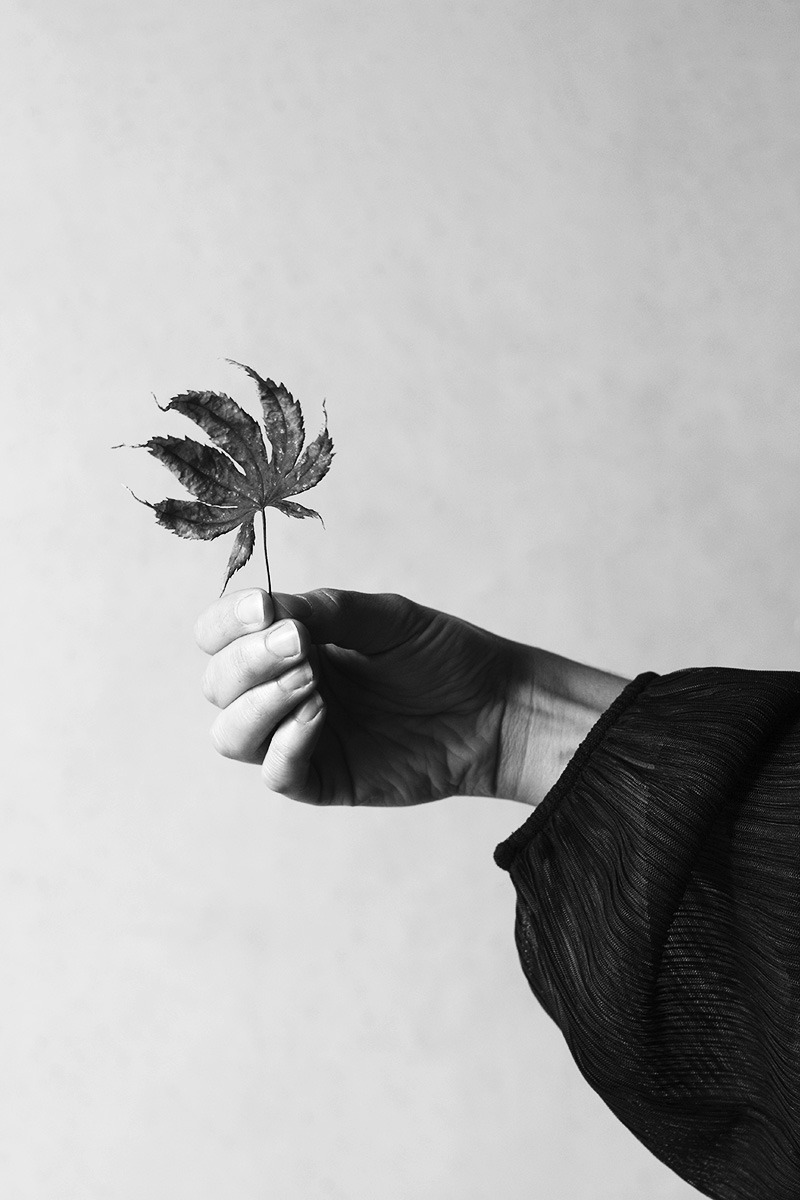 Archillect ID 232257