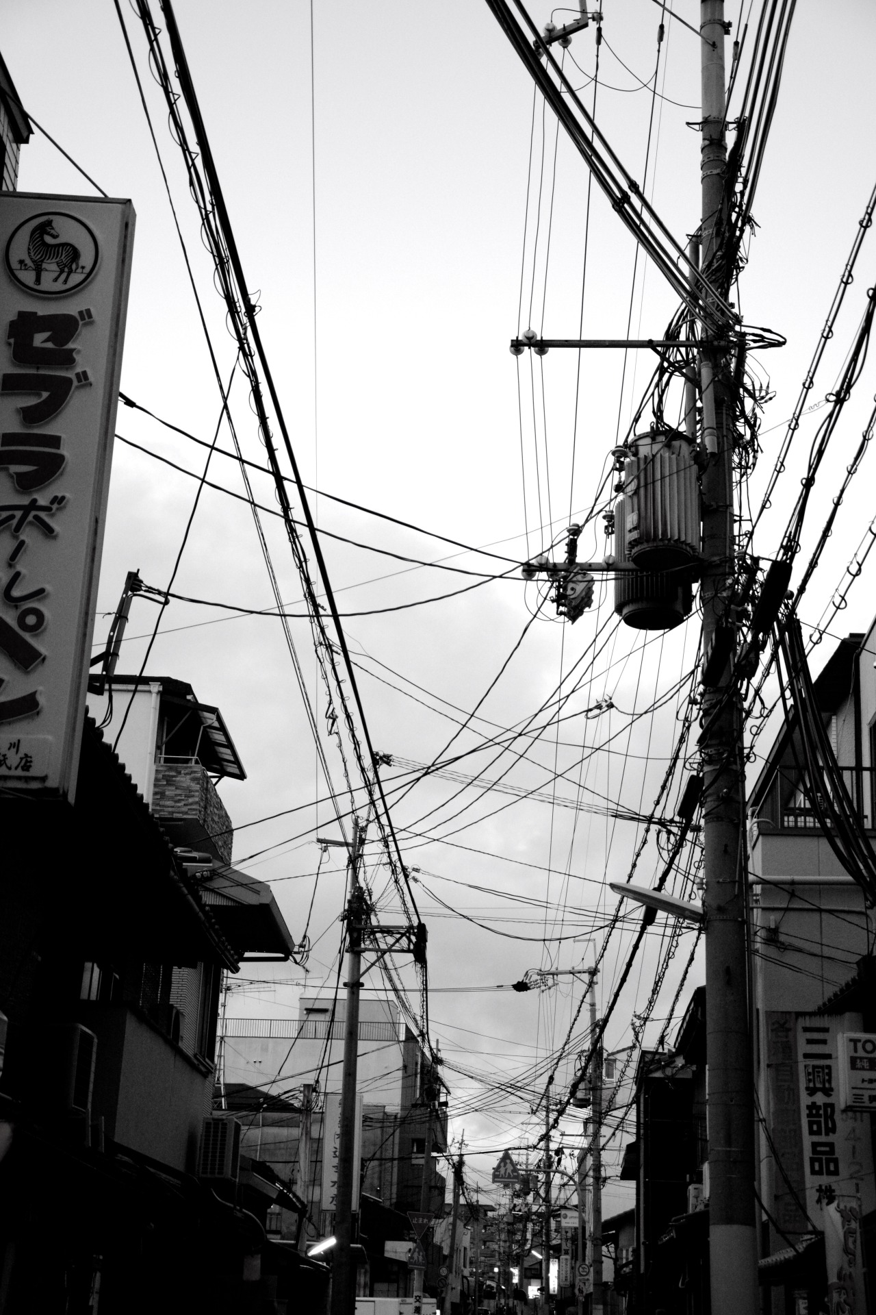 Archillect ID 232369
