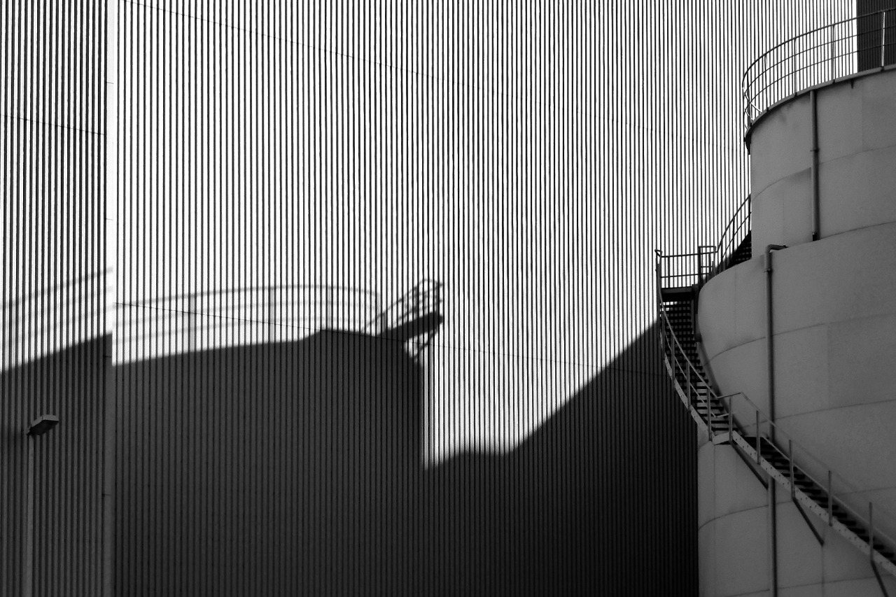 Archillect ID 232502