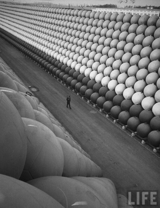 Archillect ID 232546