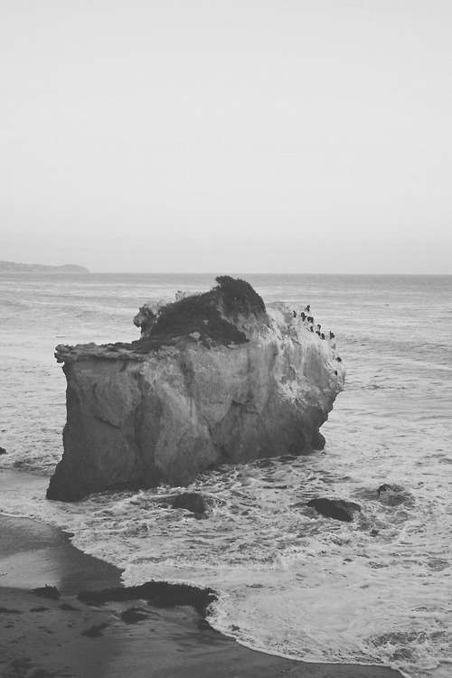 Archillect ID 232560