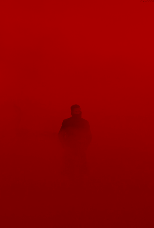 Archillect ID 232805