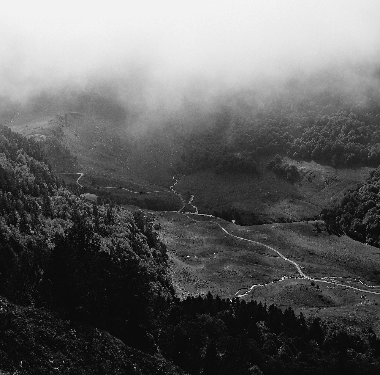 Archillect ID 232814