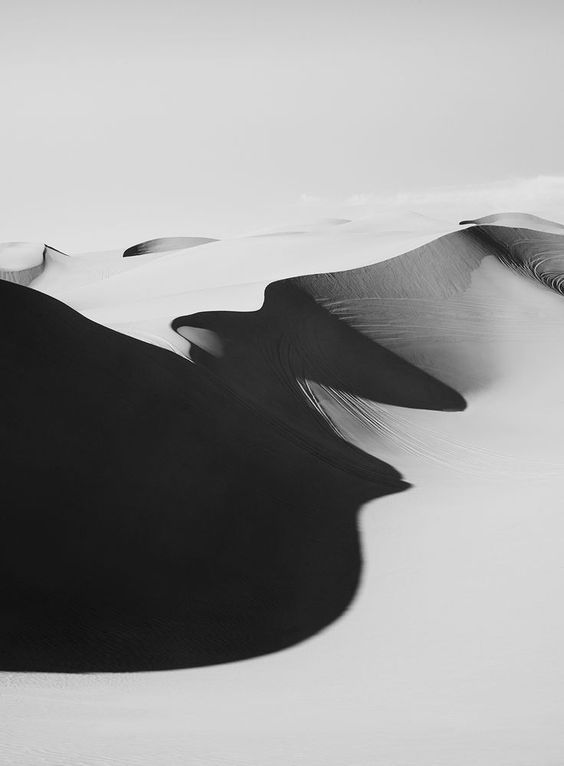 Archillect ID 232908