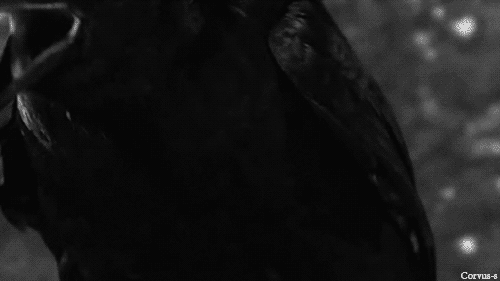 Archillect ID 232942