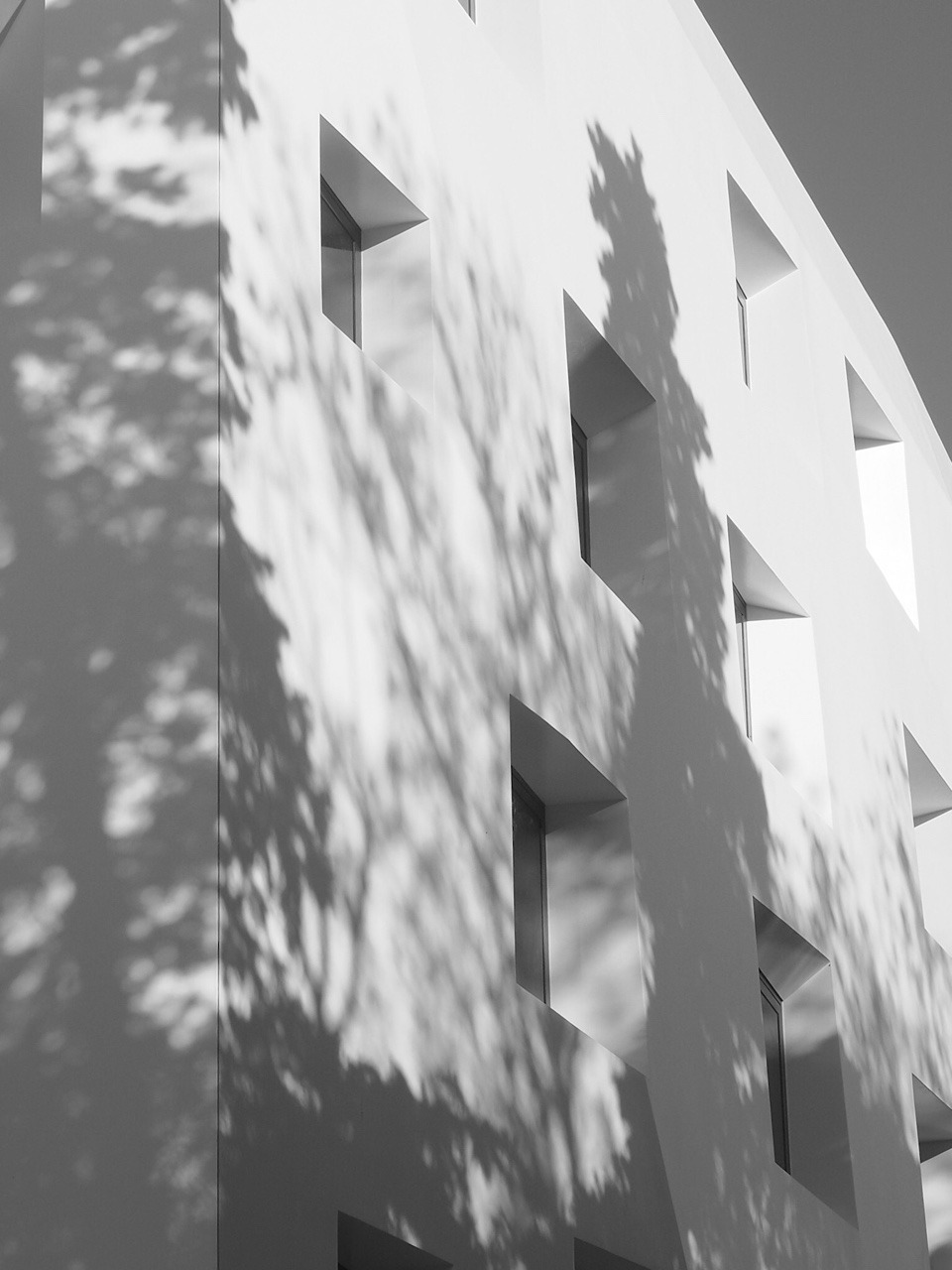 Archillect ID 233066