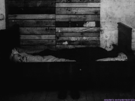 Archillect ID 233295