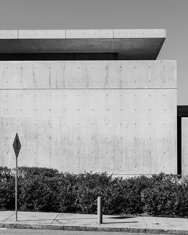 Archillect ID 233528