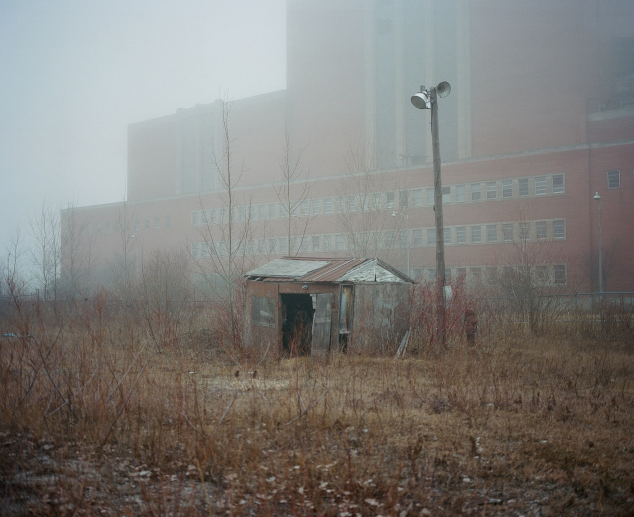 Archillect ID 233568