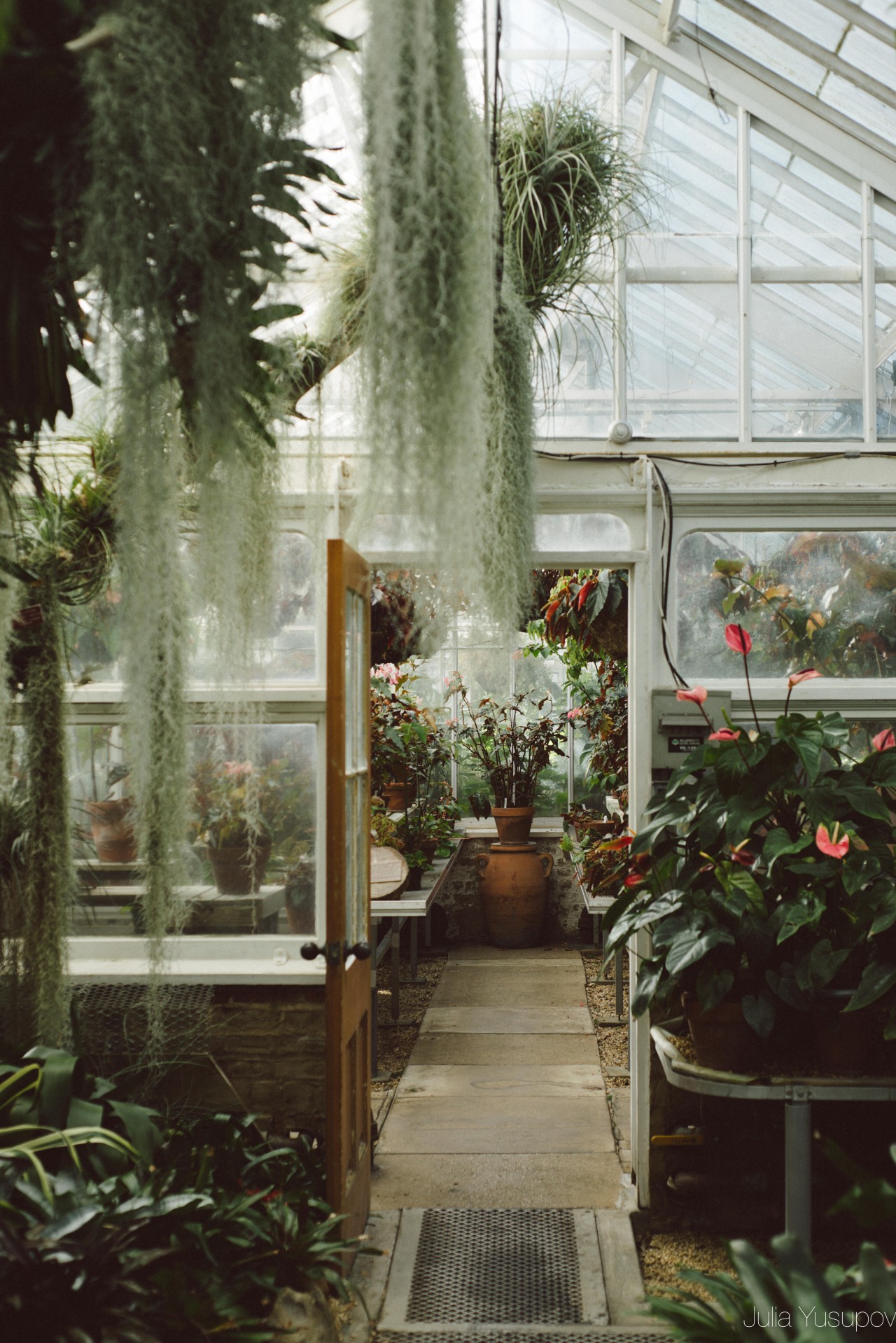 Archillect ID 233715