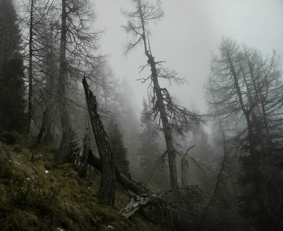 Archillect ID 233780