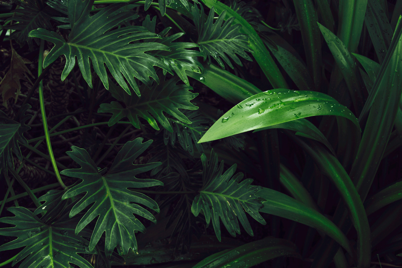Archillect ID 233838