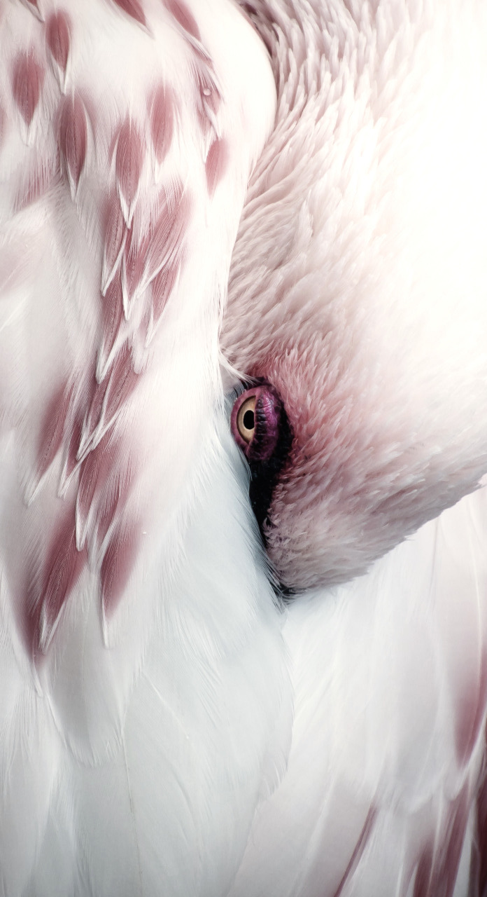 Archillect ID 233913