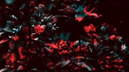Archillect ID 234199