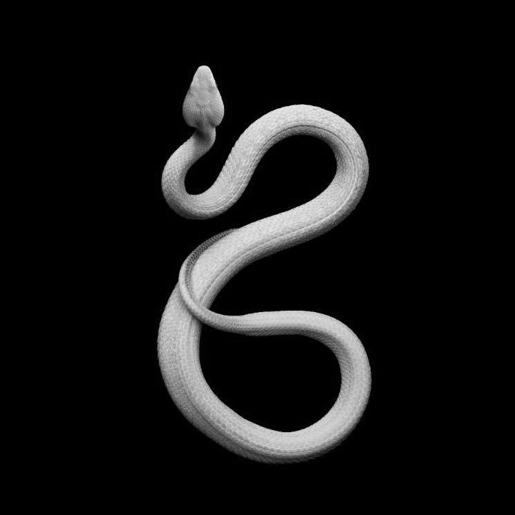 Archillect ID 234221
