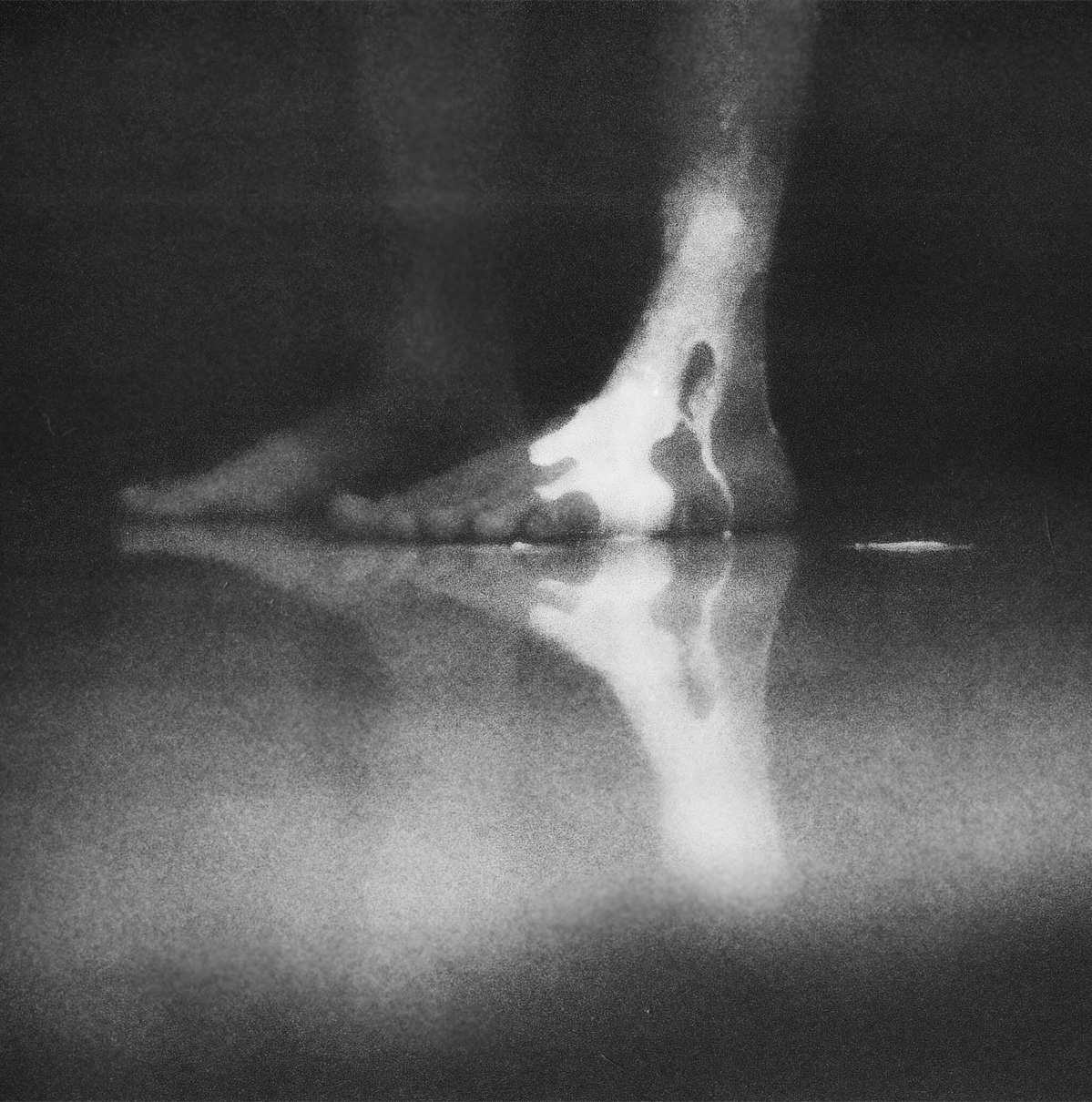 Archillect ID 234455