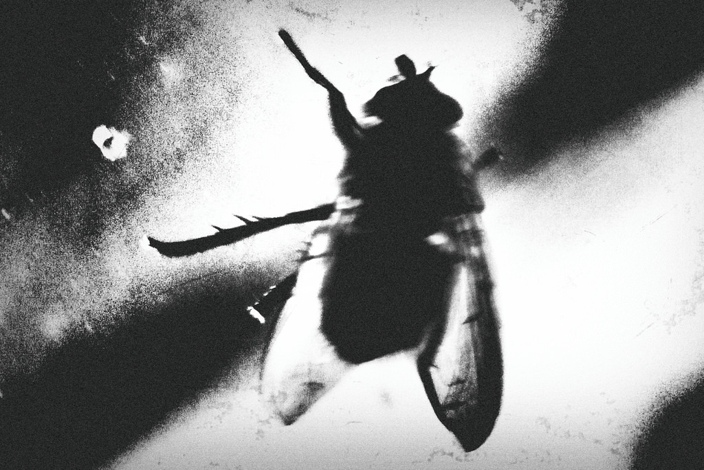 Archillect ID 234580