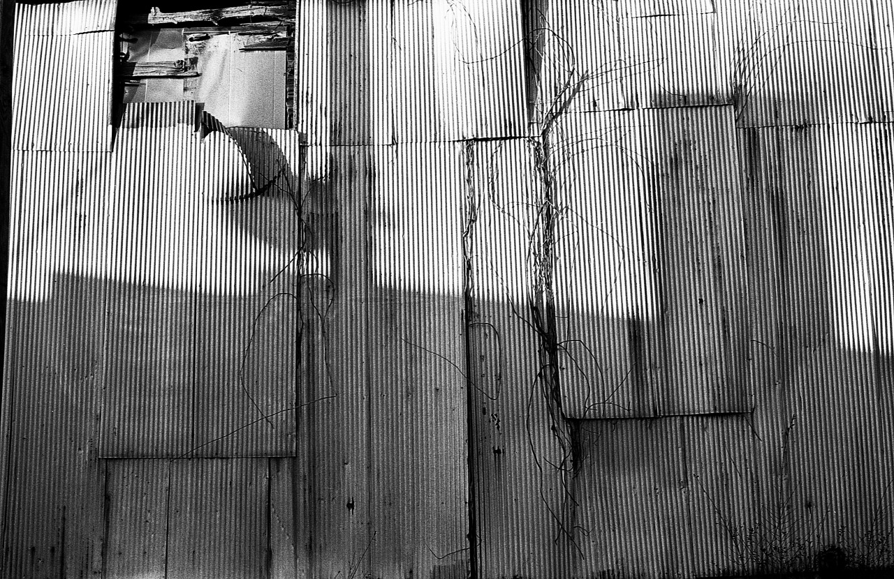 Archillect ID 234723