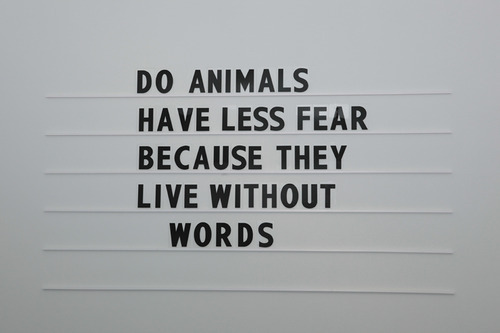Archillect ID 234783