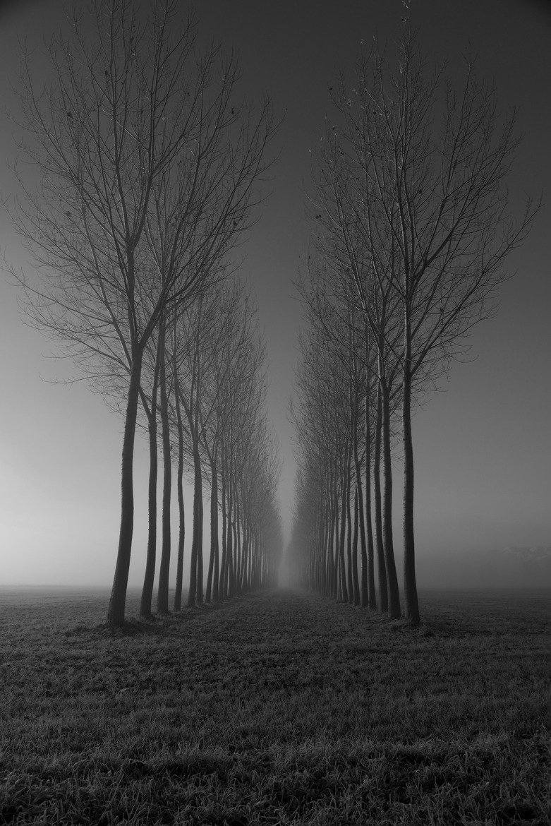 Archillect ID 234793