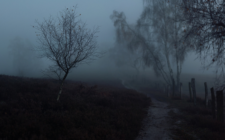 Archillect ID 234884