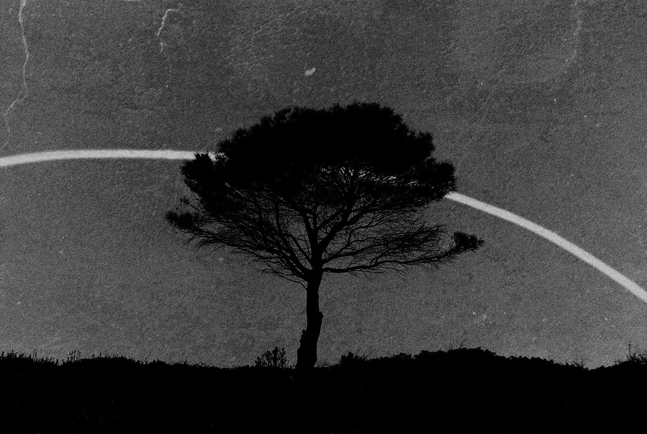 Archillect ID 234886