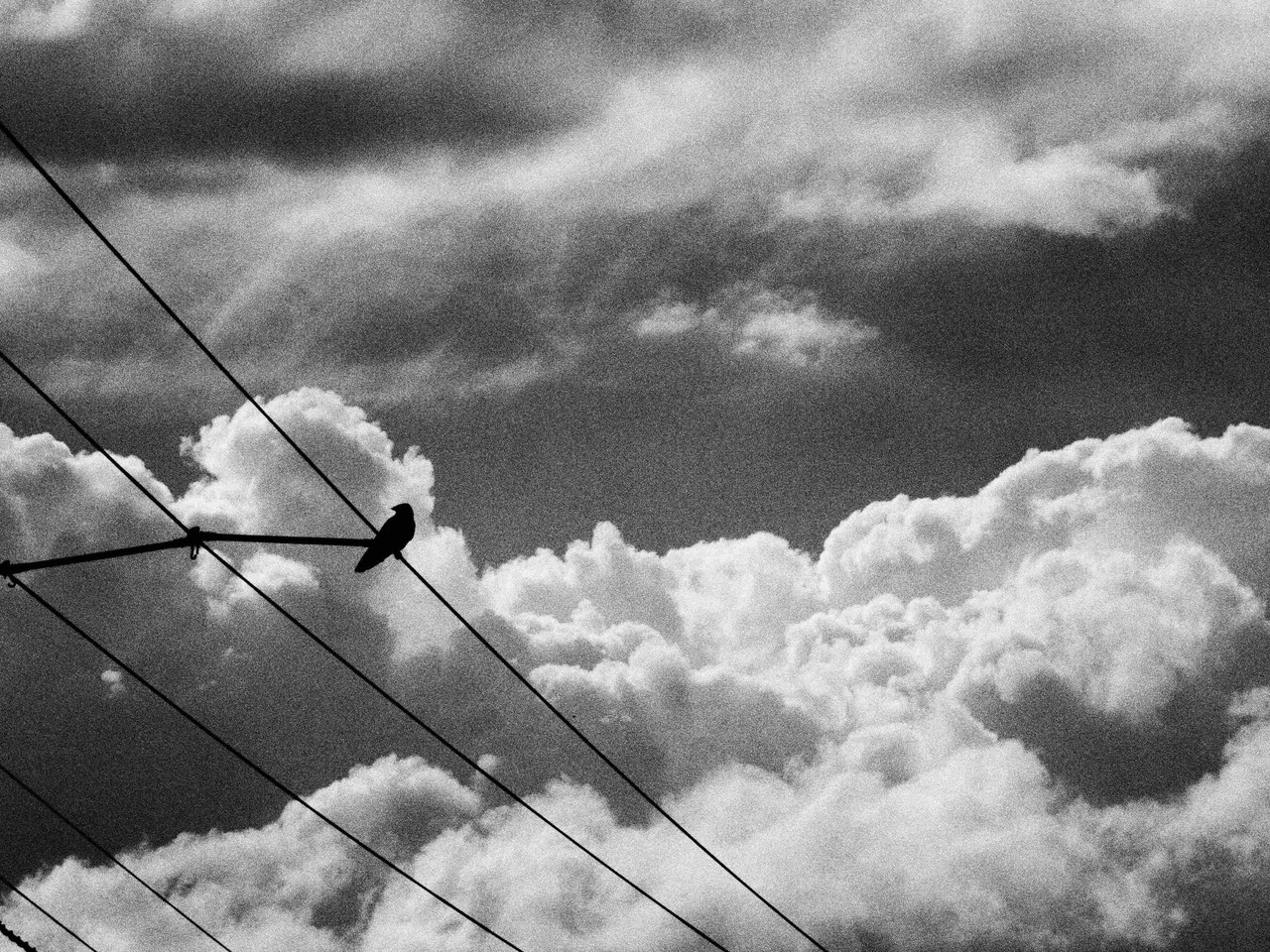 Archillect ID 234901