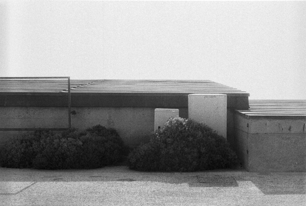 Archillect ID 235125